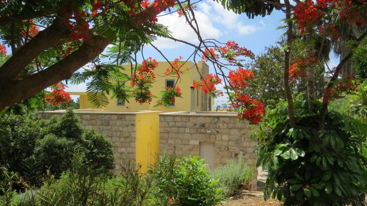 Artsea Studio Apartment With Sea View Ein Hod Luaran gambar